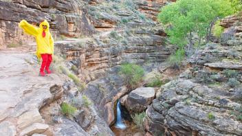 Upper Canyon 