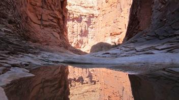 Upper Canyon