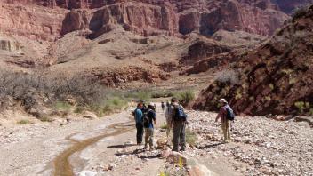Upper Canyon
