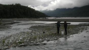 people looking for fish