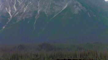 chitina river