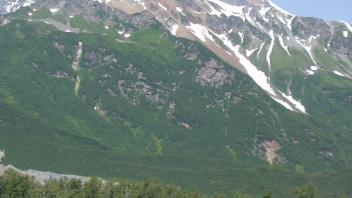 clear trib view 2