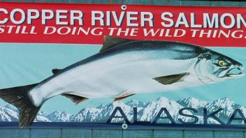 copper river salmon sign