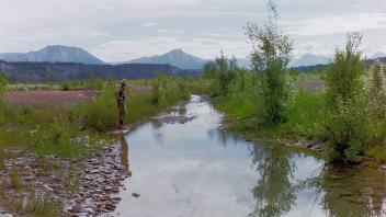 creek, hyporheic,Nazina