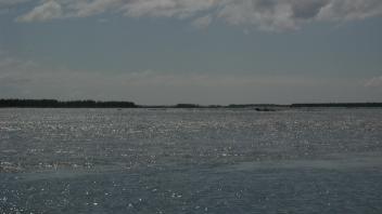 delta view