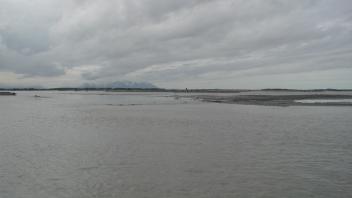 delta view