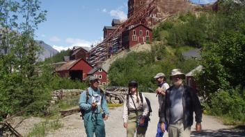 elders at mine
