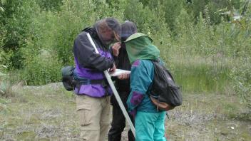 field maps