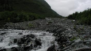 friends creek