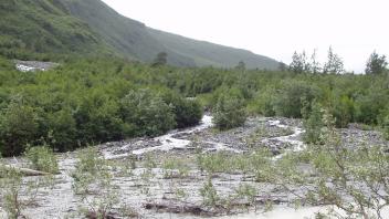 friends creek