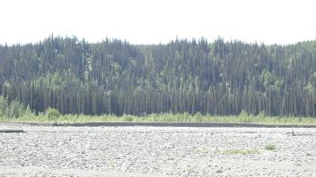 glacial terrace 