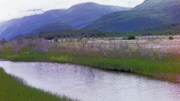 hyporheic channel
