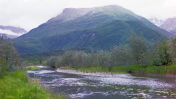 hyporheic stream