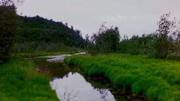 hyporheic stream