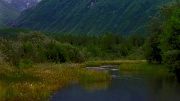 hyporheic, glacial stream
