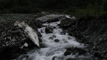 ice chunks in creek