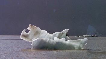 iceberg, miles lake
