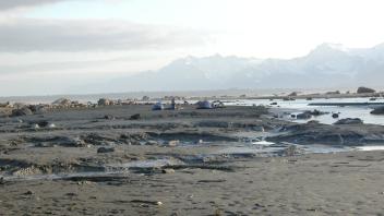 jokuhaulp flats