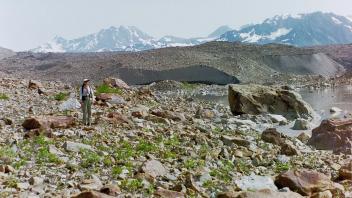 miles glacier, rubble, sarah b