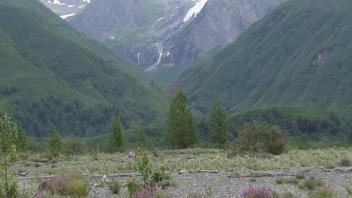 mountain view