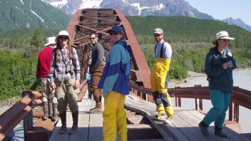 on fallen bridge