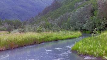 sampling stream and july5 camp