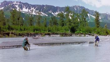 seining