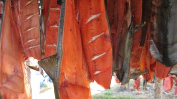 split chum
