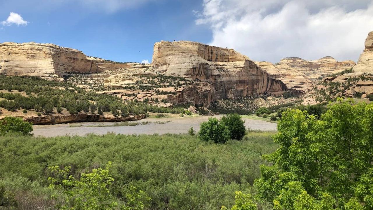 An overlook of the river and floodplain at Harding Hole (Photo_ Lindsay Kammeier)
