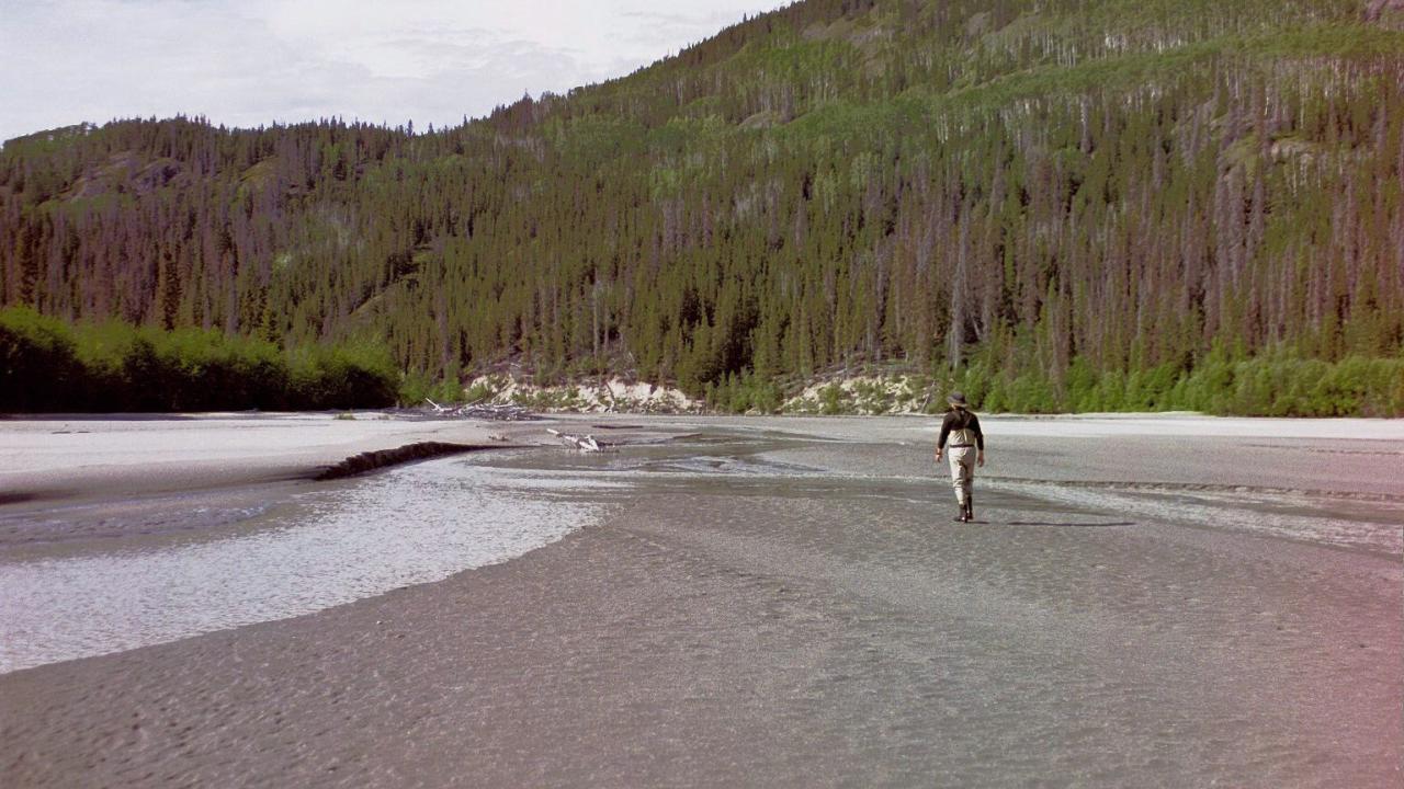 Chitina flats