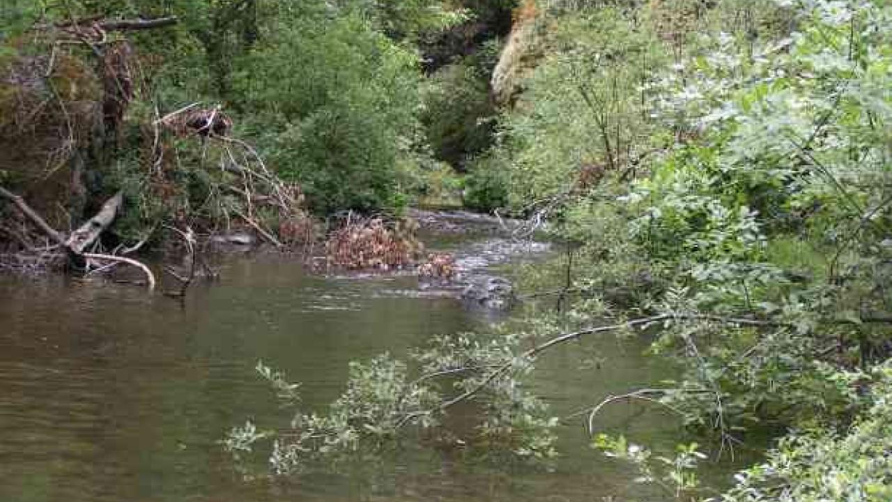 creek