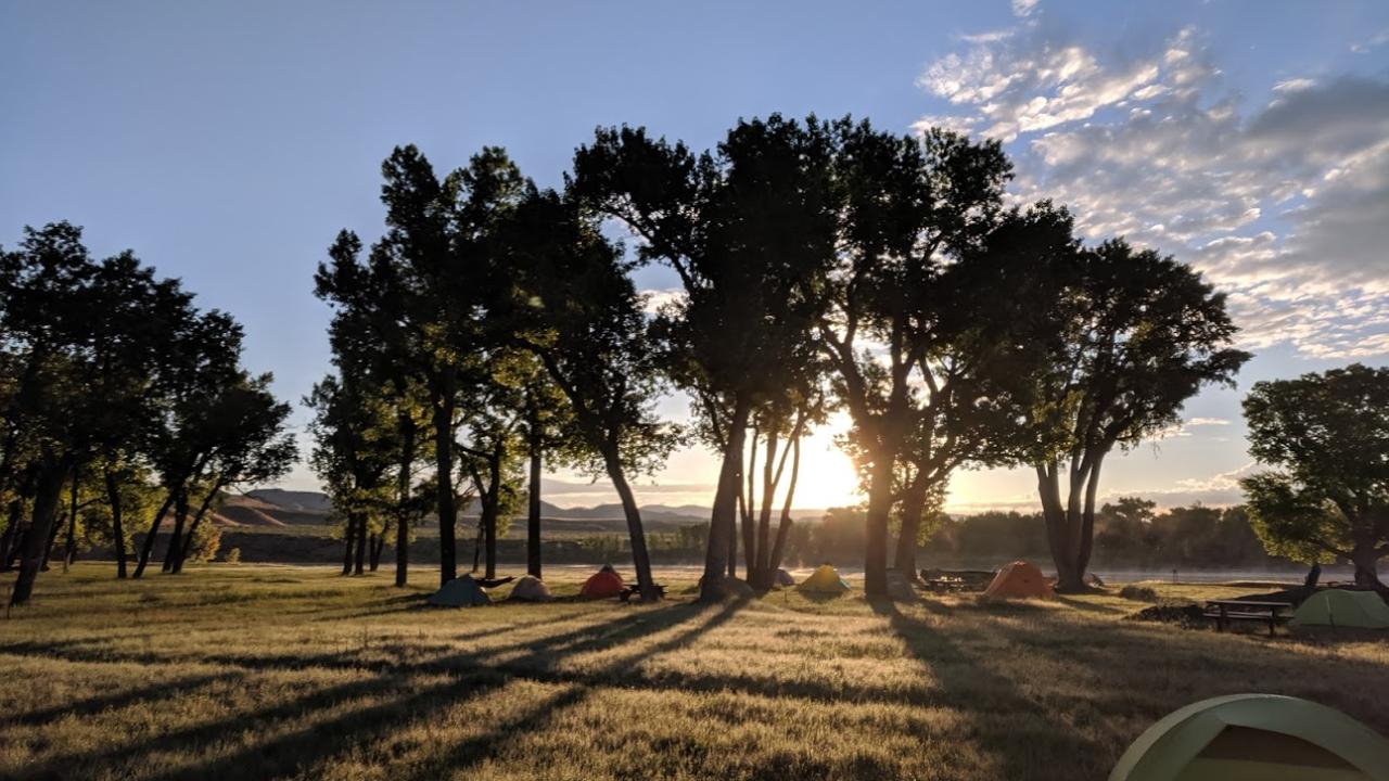 Light streaming through the trees in the morning after the storm