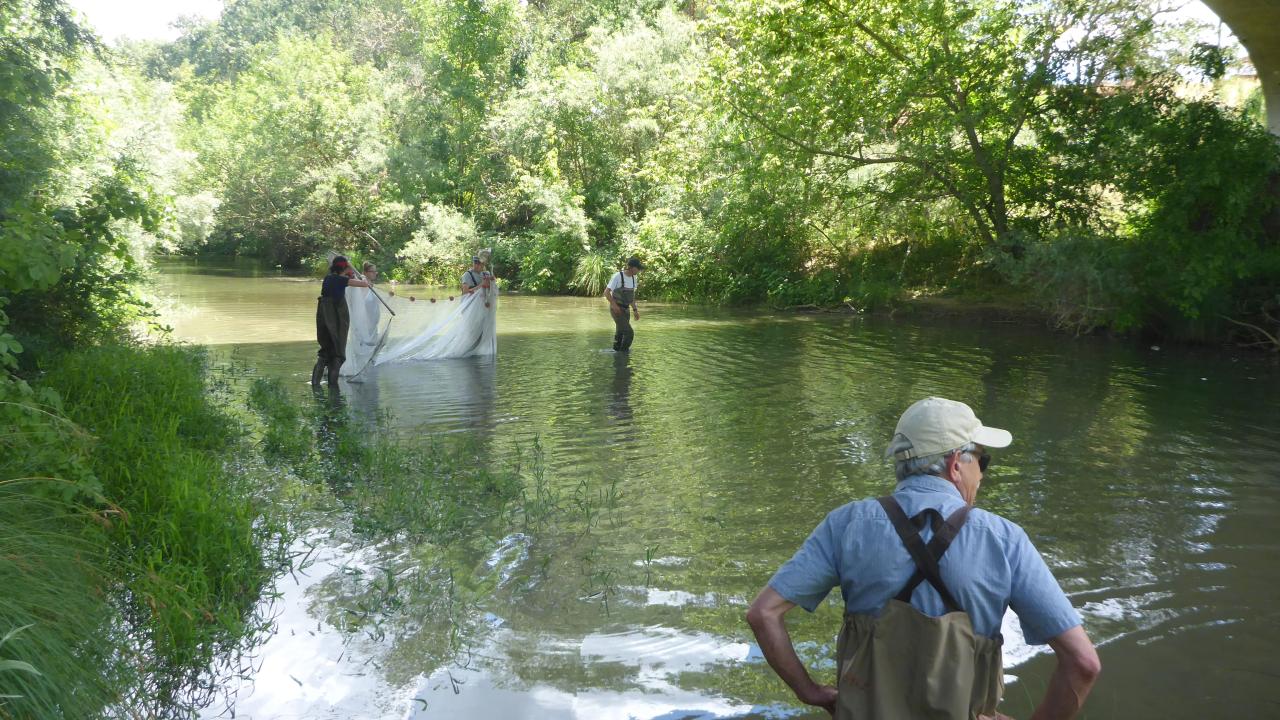 Putah Creek