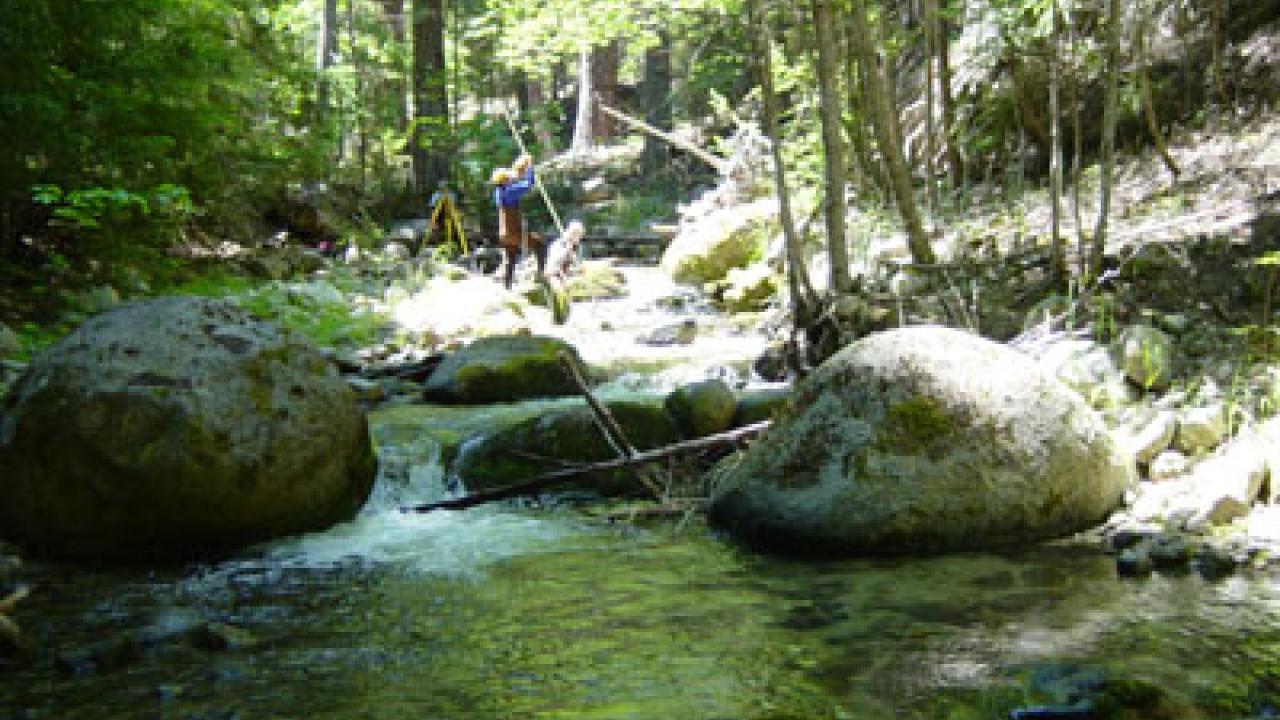 Scott River French Creek