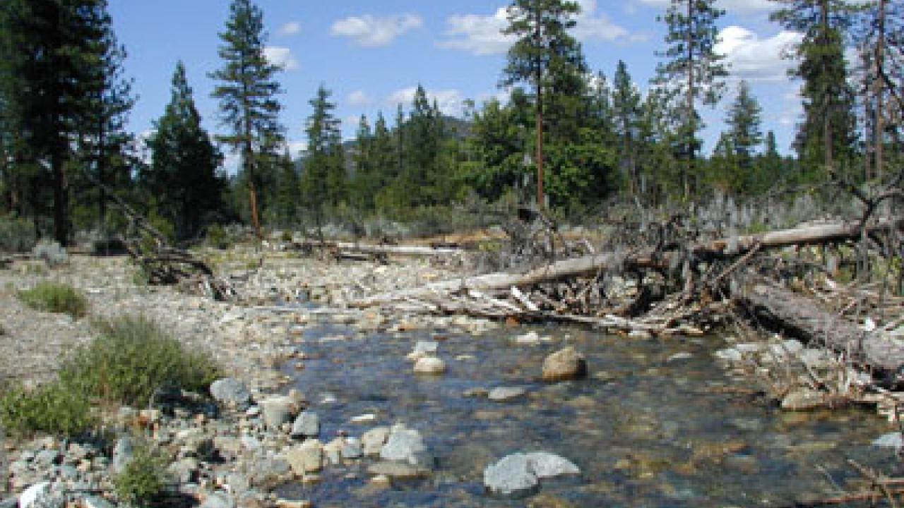 Scott River Mill Creek
