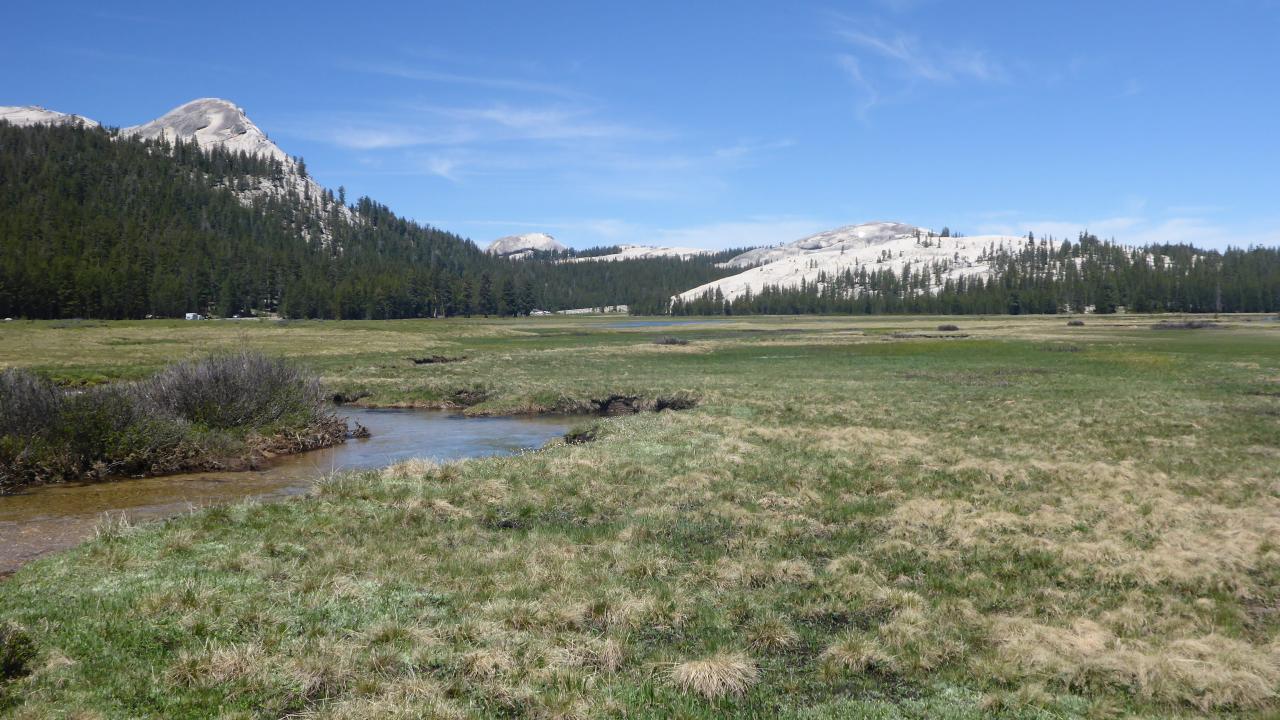 large meadow with mountains in the distance