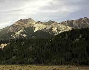 Kennicott-Nazina River Confluence