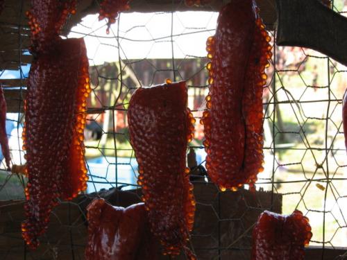 Kobuk Candy