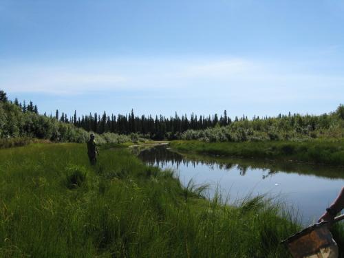 oxbow