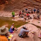 grand canyon