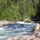 A large tributary to the Skeena River