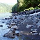 Skeena River