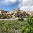 An overlook of the river and floodplain at Harding Hole (Photo_ Lindsay Kammeier)
