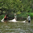 Field Work