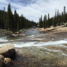 Grand Canyon of the Tuolumne