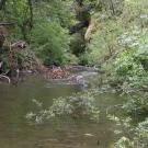 creek