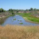 Lower Tuolumne