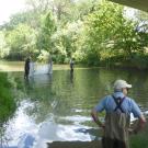 Putah Creek