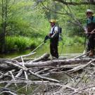 Scott River Electro-Fishing