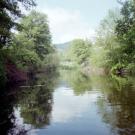 Scott River Sugar Creek